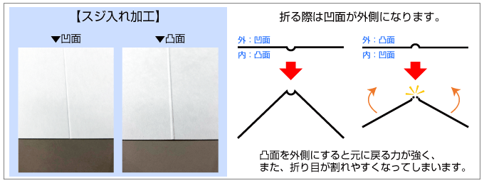 スジが凹んでいる面が折ったときに外面になります