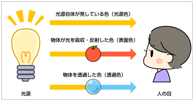 光源色と物体色（表面色・透過色）のイメージ